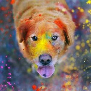 Meet your Posher, Loveday